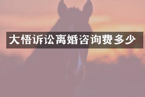 大悟诉讼离婚咨询费多少