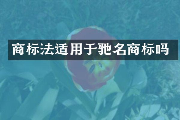 商标法适用于驰名商标吗