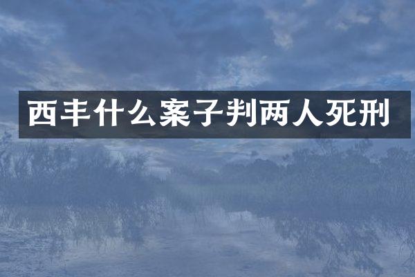 西丰什么案子判两人死刑