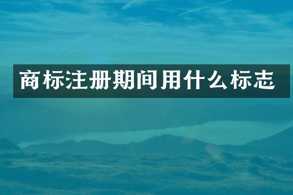 商标注册期间用什么标志