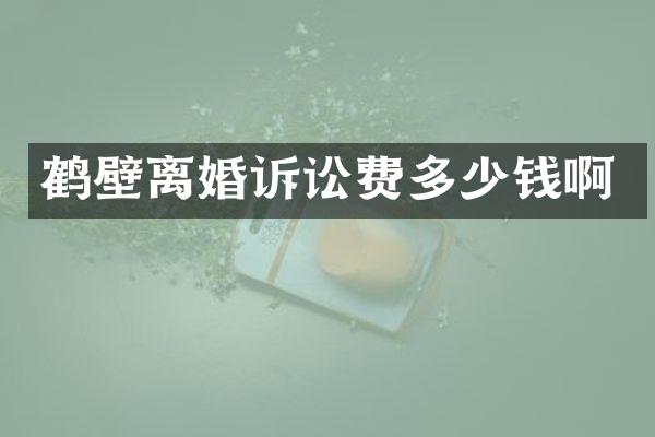 鹤壁离婚诉讼费多少钱啊
