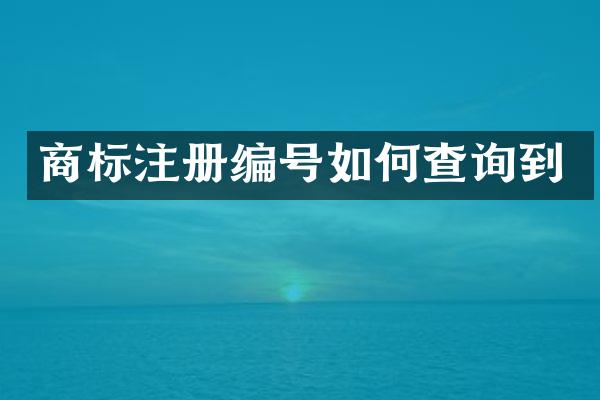 商标注册编号如何查询到