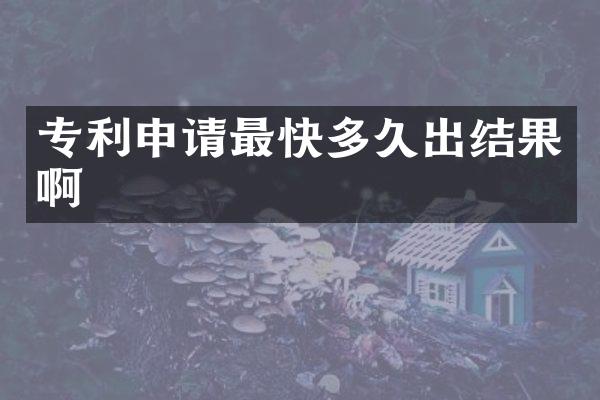 专利申请最快多久出结果啊