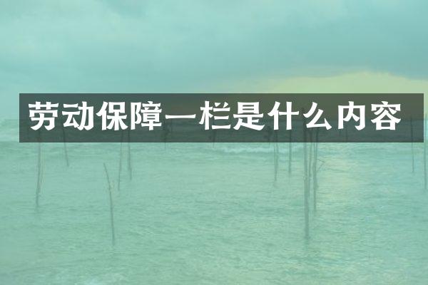 劳动保障一栏是什么内容