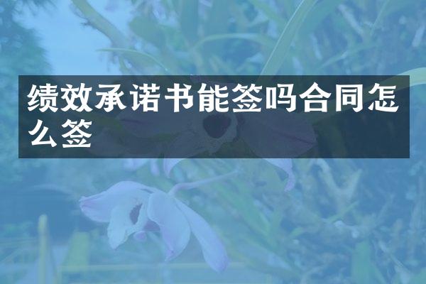 绩效承诺书能签吗合同怎么签