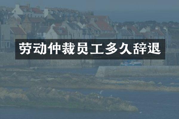 劳动仲裁员工多久辞退