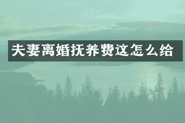 夫妻离婚抚养费这怎么给