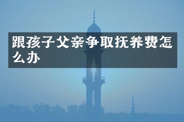 跟孩子父亲争取抚养费怎么办