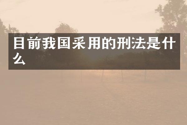 目前我国采用的刑法是什么