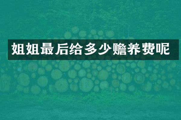 姐姐最后给多少赡养费呢