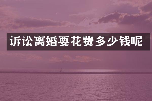 诉讼离婚要花费多少钱呢