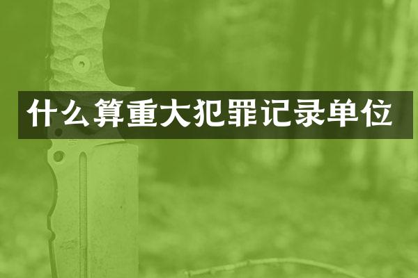 什么算重大犯罪记录单位