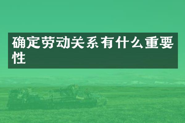 确定劳动关系有什么重要性