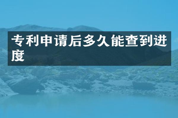 专利申请后多久能查到进度