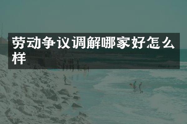 劳动争议调解哪家好怎么样
