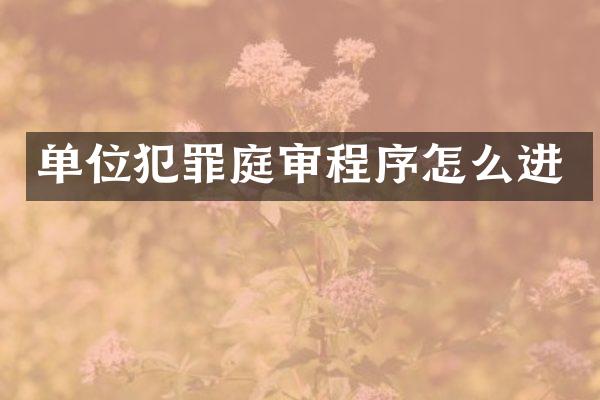 单位犯罪庭审程序怎么进