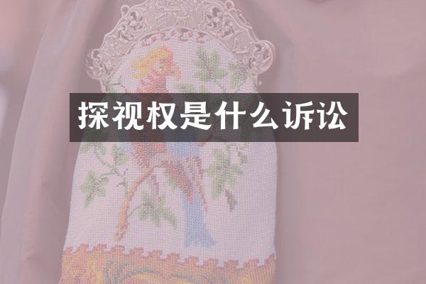 探视权是什么诉讼