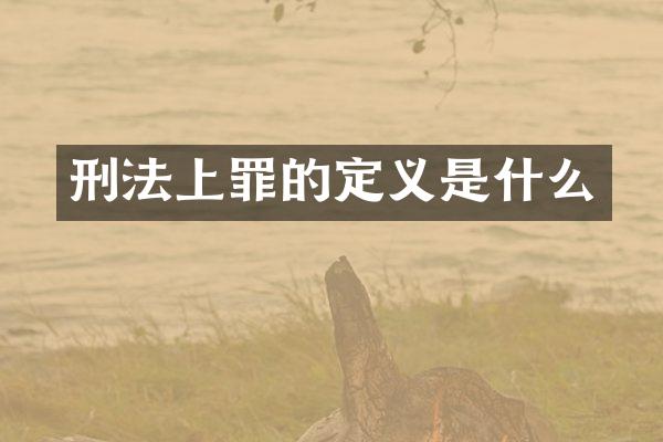 刑法上罪的定义是什么