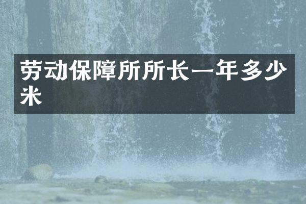 劳动保障所所长一年多少米