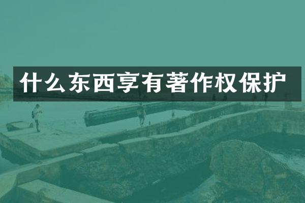 什么东西享有著作权保护