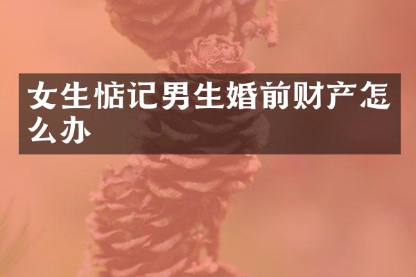 女生惦记男生婚前财产怎么办