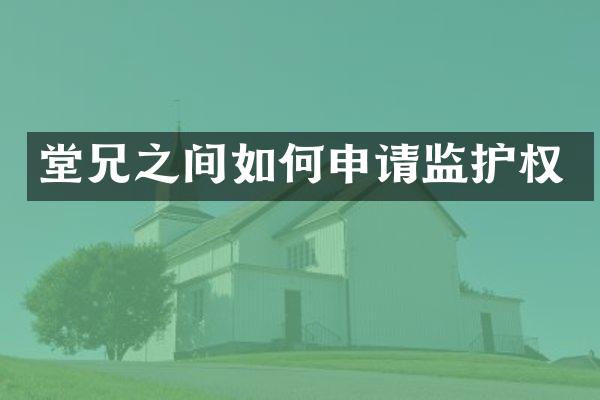 堂兄之间如何申请监护权