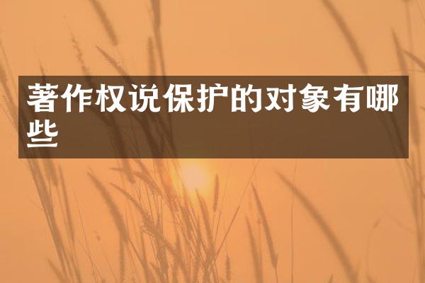 著作权说保护的对象有哪些