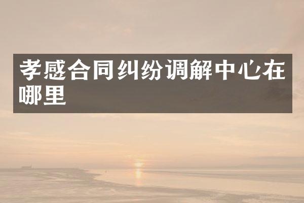 孝感合同纠纷调解中心在哪里