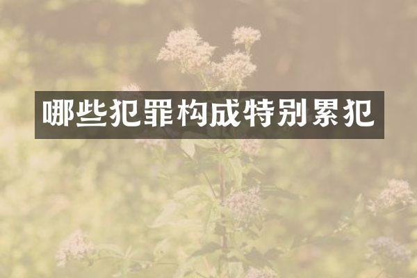 哪些犯罪构成特别