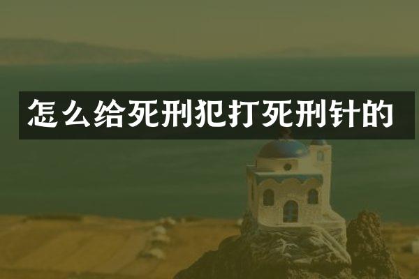 怎么给死刑犯打死刑针的