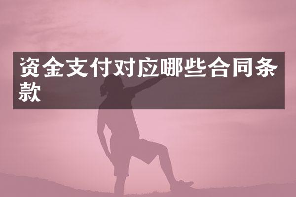 资金支付对应哪些合同条款