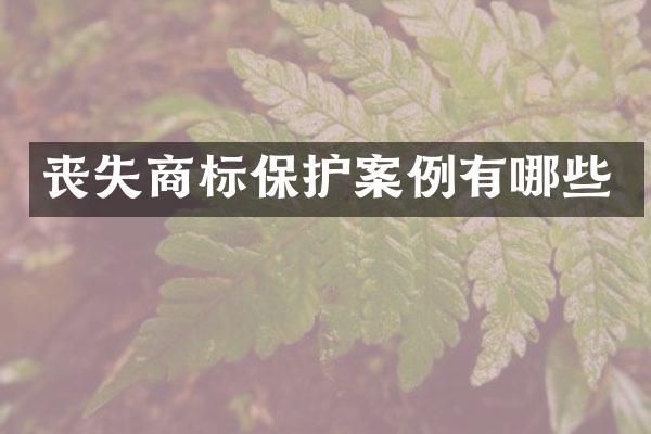 丧失商标保护案例有哪些