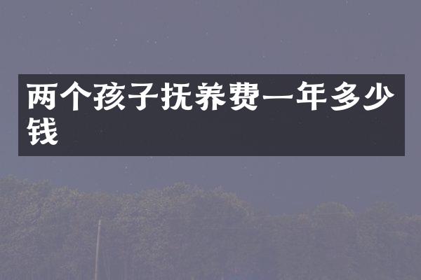 两个孩子抚养费一年多少钱