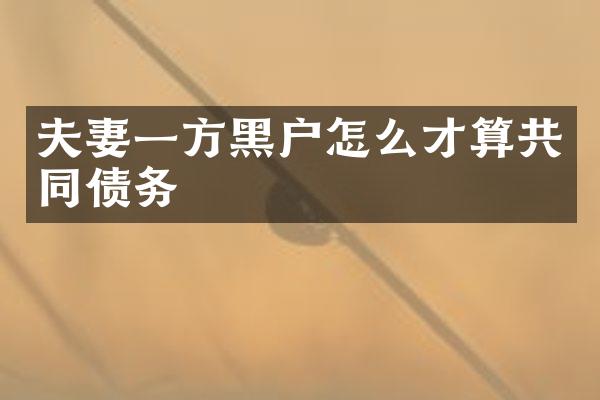夫妻一方黑户怎么才算共同债务