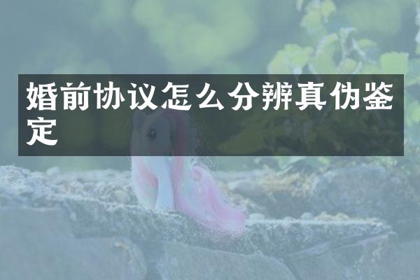 婚前协议怎么分辨真伪鉴定