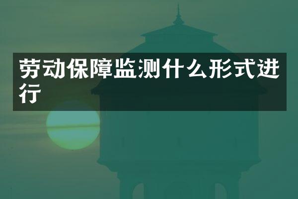 劳动保障监测什么形式进行