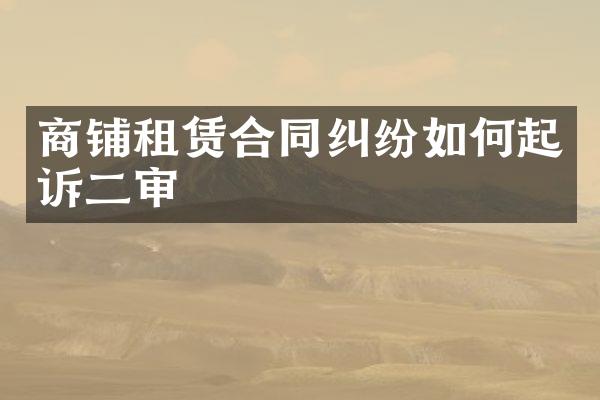 商铺租赁合同纠纷如何起诉二审
