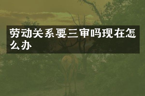 劳动关系要三审吗现在怎么办