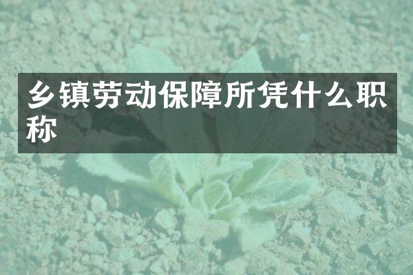 乡镇劳动保障所凭什么职称