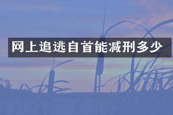 网上追逃自首能减刑多少