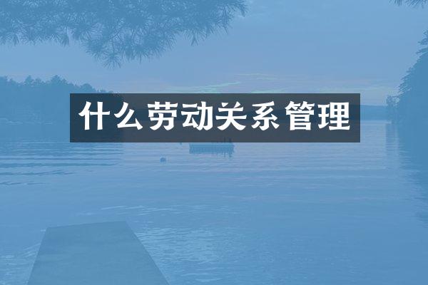 什么劳动关系管理