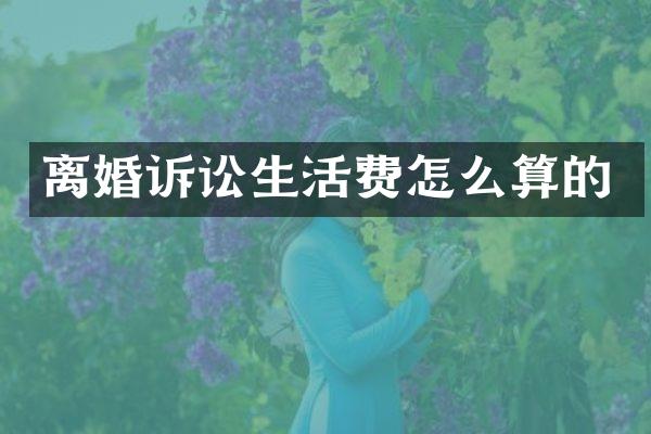 离婚诉讼生活费怎么算的