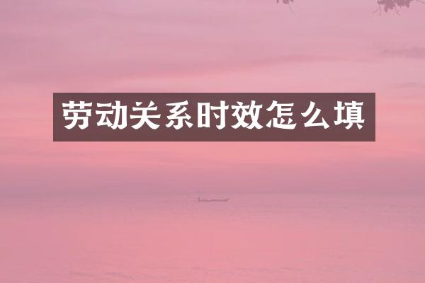 劳动关系时效怎么填