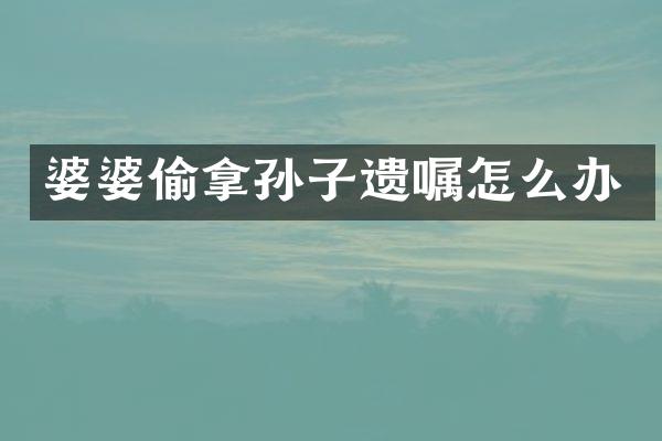 婆婆偷拿孙子遗嘱怎么办