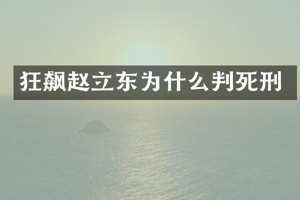 狂飙赵立东为什么判死刑