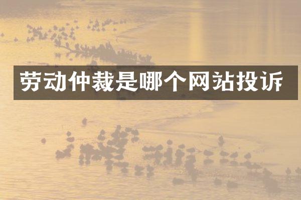 劳动仲裁是哪个网站投诉
