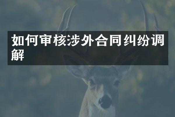 如何审核涉外合同纠纷调解