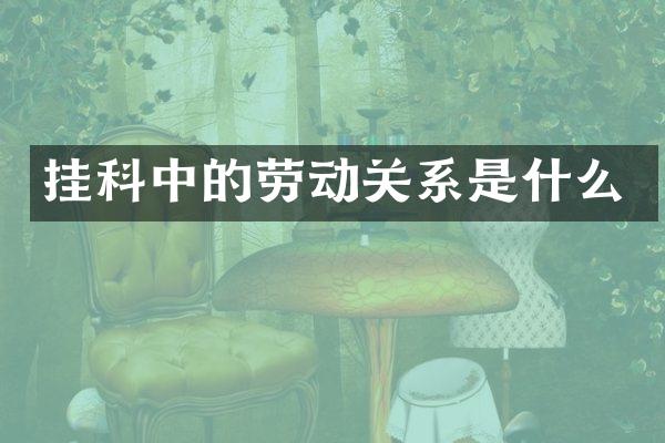 挂科中的劳动关系是什么