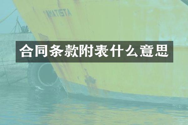合同条款附表什么意思
