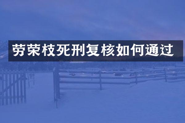劳荣枝死刑复核如何通过